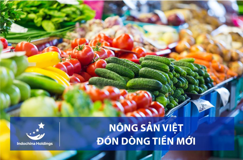 [TIN TỨC] - Nông sản đóng dòng tiền mới