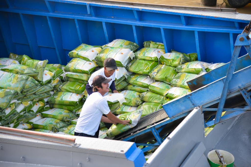 [TIN TỨC] – Xuất khẩu gạo có tín hiệu vui