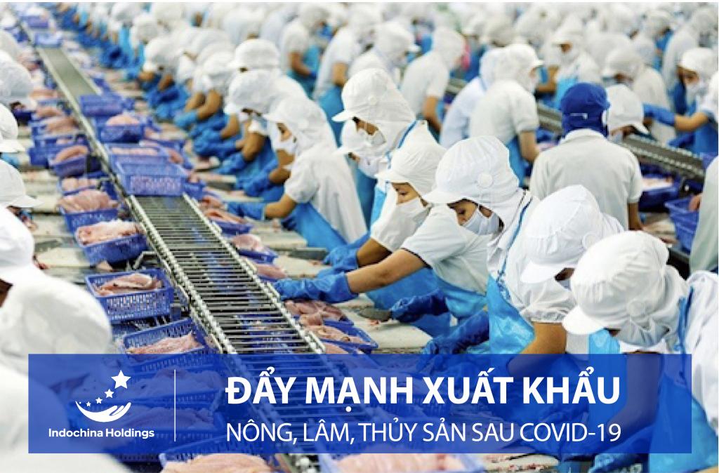 [TIN TỨC] - Đẩy mạnh xuất khẩu nông, lâm, thủy sản sau Covid-19
