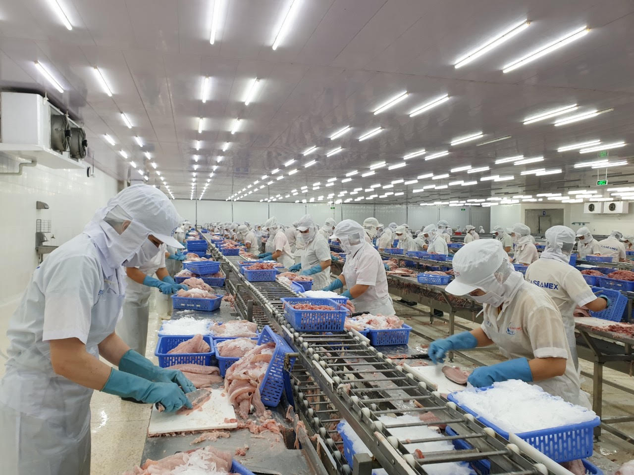 [ TIN TỨC] - Thúc đẩy xuất khẩu bền vững