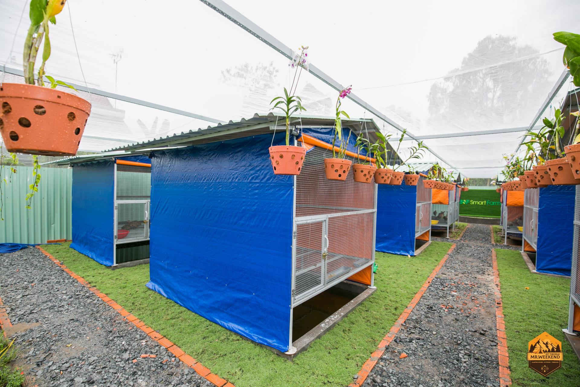 bai-dang-baodocx-1605088552498