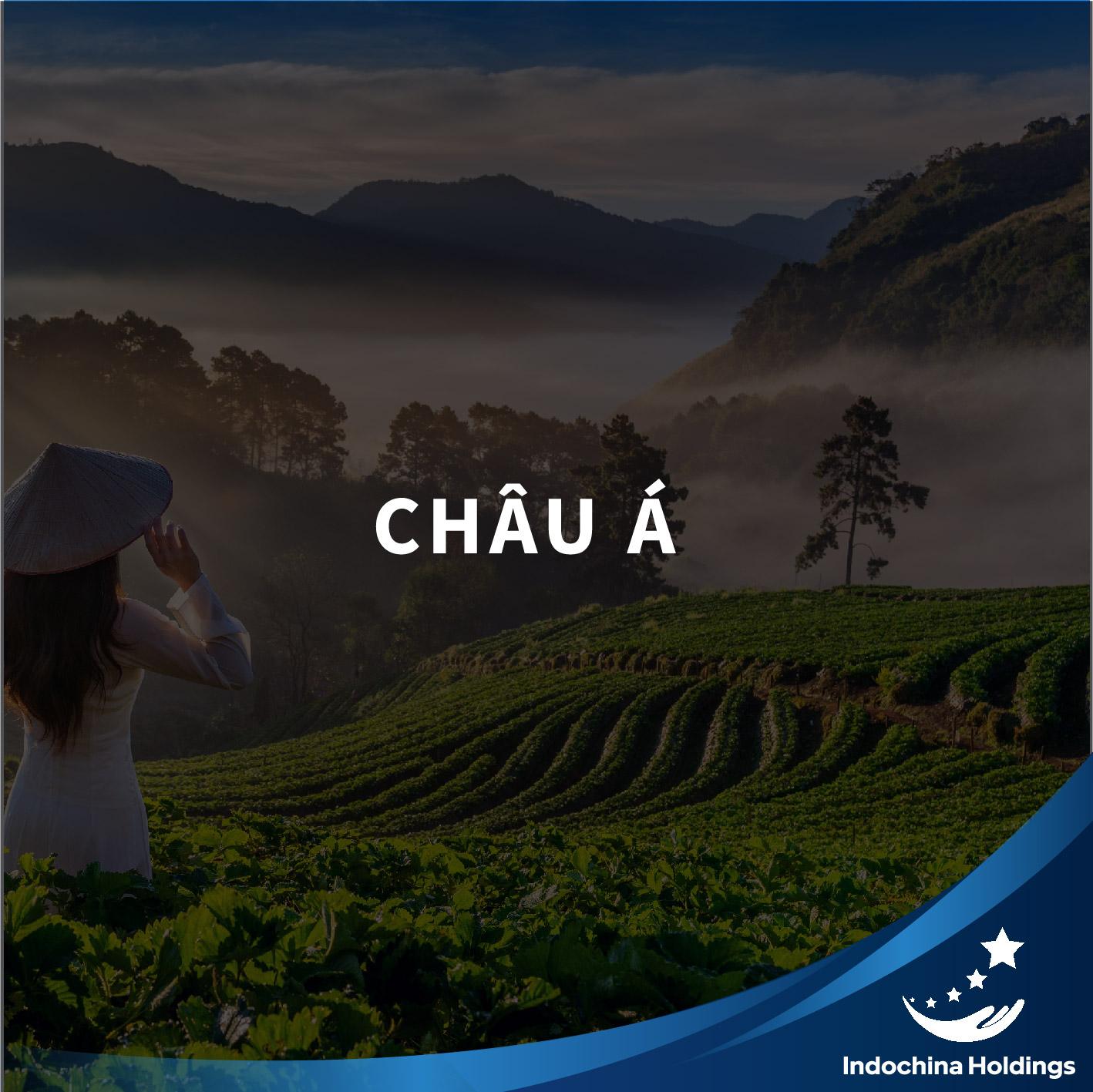 ĐIỂM DANH NHỮNG THỊ TRƯỜNG TIỀM NĂNG BẬC NHẤT CỦA XUẤT- NHẬP KHẨU VIỆT NAM (2)