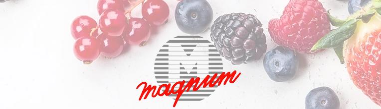 [PARTNER] – Magnum Asia Limited