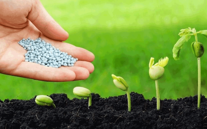 phân bón