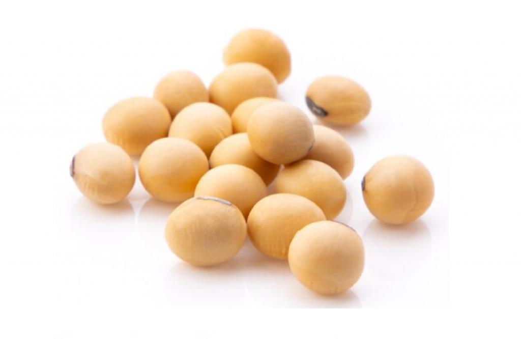Soybean