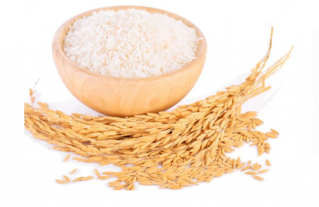 Rice