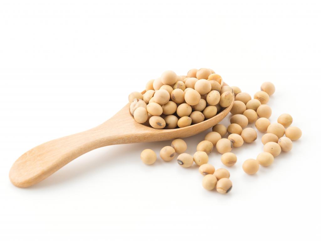 soy-beans