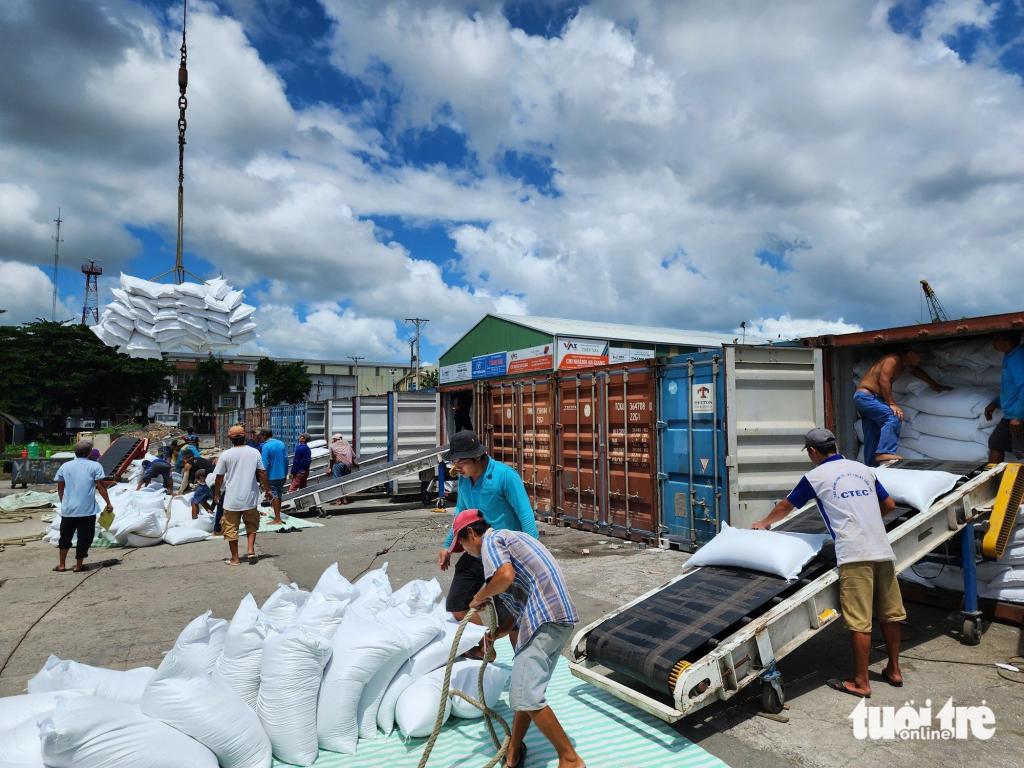 [NEWS] - Export rice prices are high but why are businesses hesitant to sign new contracts?