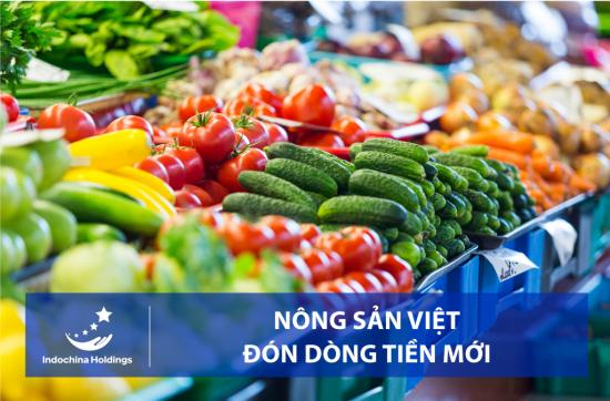 [TIN TỨC] - Nông sản đóng dòng tiền mới