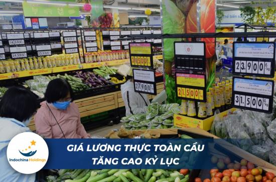 [TIN TỨC] - Giá lương thực toàn cầu tăng cao kỷ lục
