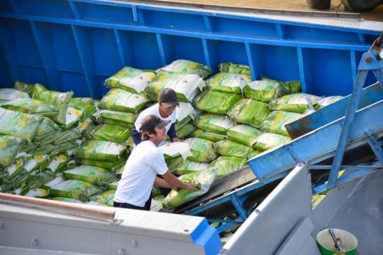 [TIN TỨC] – Xuất khẩu gạo có tín hiệu vui