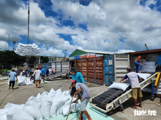 [NEWS] - Export rice prices are high but why are businesses hesitant to sign new contracts?